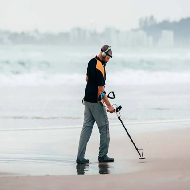 Top Rated Metal Detectors